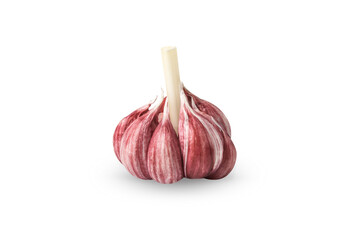 Fresh garlic with cloves on a white background.