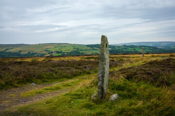 Standing stones by the Roman road on Wheeldale Moor