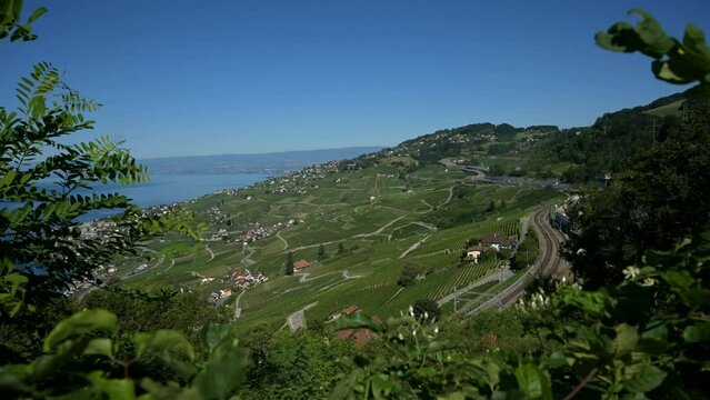 Timelapse over A9 highway through Lavaux vineyard. Vaud Canton, Switzerland. UNESCO world heritage site in summer.