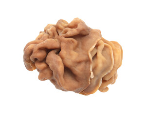 Stitches giant mushroom isolated on white