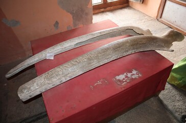 Whale bones are housed in a museum in the Dutch fort at Tharangambadi, built in the seventeenth century.