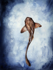 Watercolor drawing of a long-tailed stingray in the depths of the sea. 