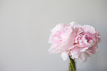 Bouquet of peonies in the vase