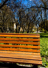 Wooden bench in the city in spring under the sun.