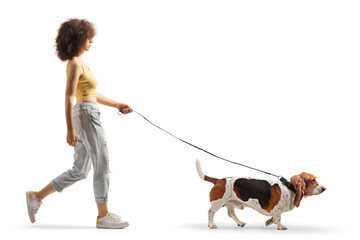 Full length profile shot of a young female walking a basset hound dog on a lead