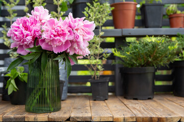 Gardening activity concept .Potting bench with seedlings and flowers.