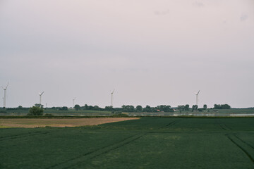 Fototapeta na wymiar Distant windmill farm in the green fields. Wind turbines generating green and renewable energy