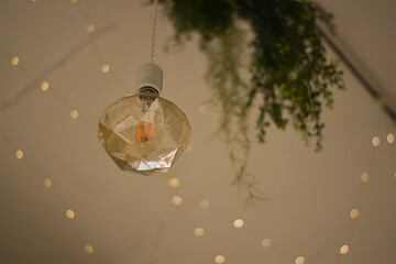 Lights