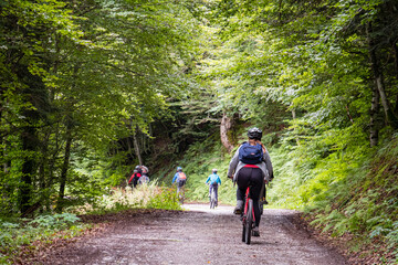 escursion juvenil en bicicleta de montaña, pista de Anapia a prados de Sanchese, trekking de las...