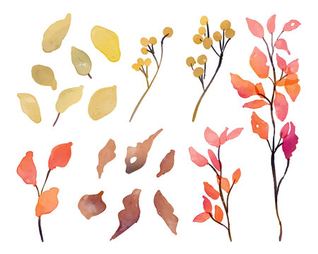 枯葉 Images Browse 26 553 Stock Photos Vectors And Video Adobe Stock