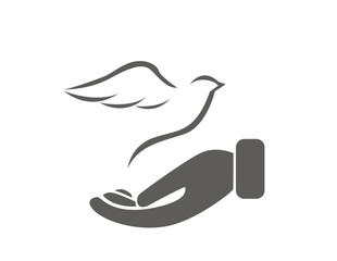 Dove illustration on white background