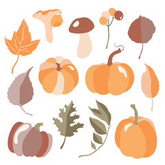 Set of autumn leaves and pumpkins. Fall set. Vector illustration