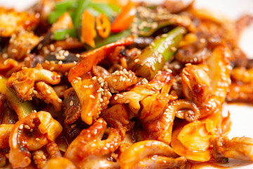 Stir fried spicy vegetable octopus