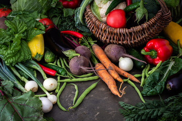 Fresh harvest, organic vegetables and herbs from the garden