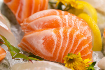 Fresh salmon sashimi and white fish sashimi  