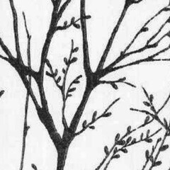 frame, flower, floral, border, nature, leaf, pink, spring, vector, decoration, design, illustration, pattern, flowers, plant, card, ornament, purple, violet, summer, blossom, art, green, leaves, petal