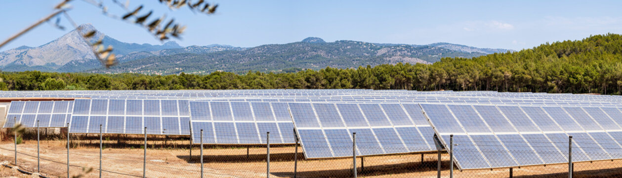 parque de energ&iacute;a solar fotovoltaica, ses Barraques, Calvi&aacute;, Mallorca, Balearic Islands, Spain