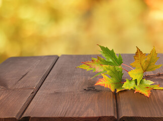Naklejka na ściany i meble Yellow maple leaves on a wooden table. Autumn beautiful background.