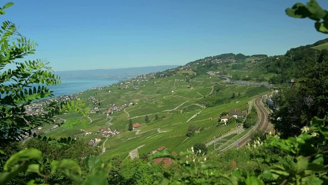 Real time over A9 highway through lavaux vineyard and lake Geneva. Puidoux, Vaud Canton, Switzerland. UNESCO world heritage site in summer. Travel destination.