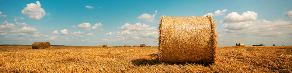 Panoramic view of straw bale stacked on autumnal farm field against blue sky