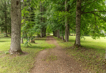 path in the park