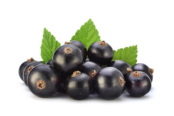 Black currant on white