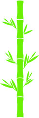 Fototapeta na wymiar Set of bamboo design elements. Leaves and trunks of bamboo logos.