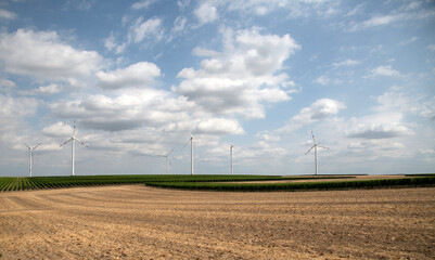 Windr&auml;der auf einem Feld