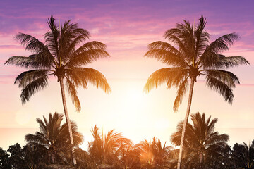 Silhouette tropical palm tree on sunset sky with background and bokeh light. Summer vacation and nature travel adventure concept.