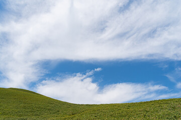 爽やかな夏の高原