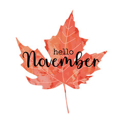 Beautiful calligraphy lettering text - Hello November. Bright orange red watercolor artistic maple leaf vector illustration isolated on white background. Autumn fall welcoming greeting poster design. © Caelestiss