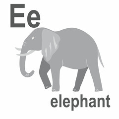 The beauty of the jungle is a huge elephant, a wonderful representative of African animals, ABC children's banner. Postcards, a poster with the alphabet.  Game room design. Vector