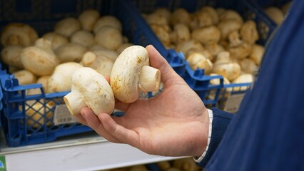A man buys fresh champignon mushrooms at a farmer's fair, takes white champignon mushrooms from the...