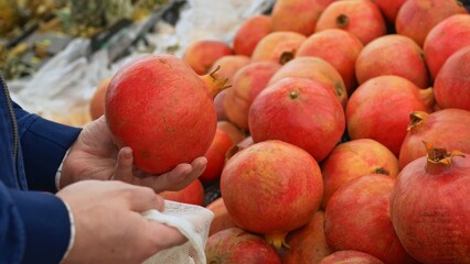 Buying red pomegranates at the local farmers' market. The buyer at the fruit shelf selects ripe pomegranates and puts them in a reusable bag. Using reusable bags to reduce plastic waste.