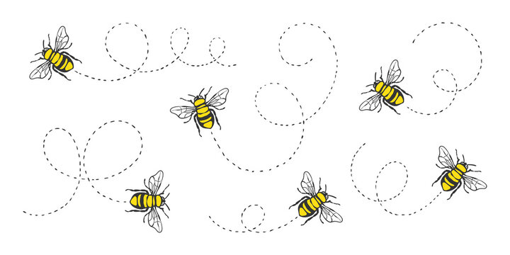 Bee flying. Painted bees. Bee flying on a dotted route. Vector illustration