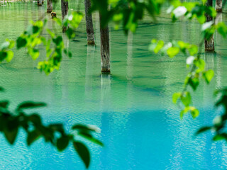 透き通った水面