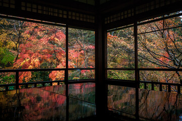 Naklejka premium Autumn Tree in Rurikoin Temple, Kyoto, Japan
