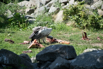 Tierpark Berlin Friedrichsfelde