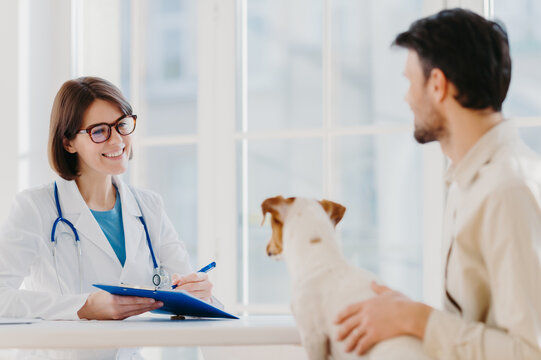 Man brings his pet fot vet examination in clinic, tells symptoms of ill dog. Happy woman veteranian writes down necessary prescription in clipboard for jack russell terrier after careful checkup