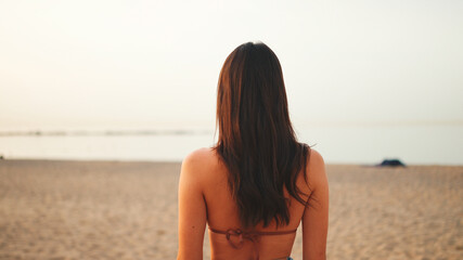 Fototapeta na wymiar Beautiful brown-haired woman with long hair looks at the sea. Back view