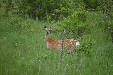 ポーズはこれでいい？