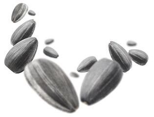 Black sunflower seeds, isolated on white background