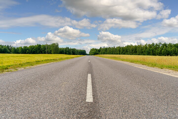 Country road in summer landscape of field, forest and sky. Rural landscape with highway background.