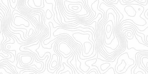 Topographic map lines, contour background, Vector contour topographic map background. Topography and geography map grid abstract backdrop, Luxury black abstract line art.