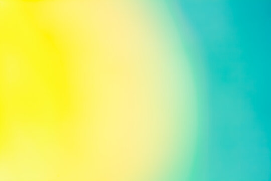 Concept de fond multicolore - d&eacute;grad&eacute; de couleurs naturelles de fleurs par flou artistique et hyper macro -  flou