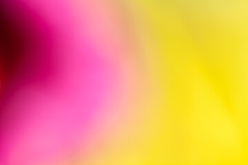 Concept de fond multicolore - dégradé de couleurs naturelles de fleurs par flou artistique et hyper macro -  flou © Olivier-Tuffé