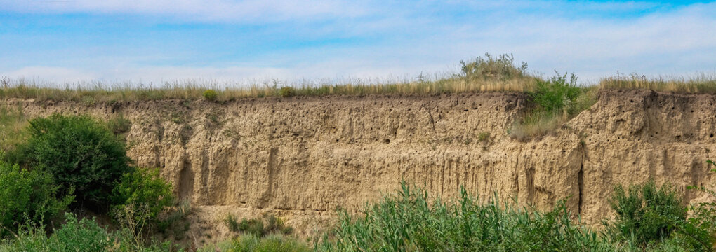 The cut of the earth, the collapse of the slope. Nests of shorebird swallows in a sand pit. Burrows in the ground.