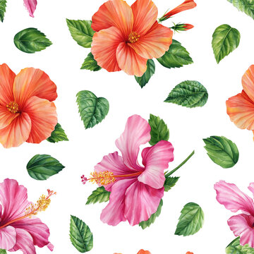 Hibiscus flowers, Watercolor floral illustration. Seamless patterns