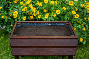 Wooden pot with planted vegetable seeds. Layer of soil with a layer of expanded clay on the bottom. Home vegetable garden with beautiful yellow flowers in the background. - obrazy, fototapety, plakaty