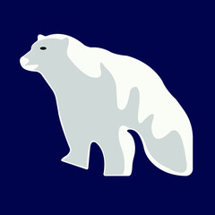 Polar white bear on a dark background